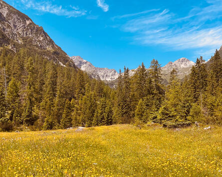 Surrounding Landscape