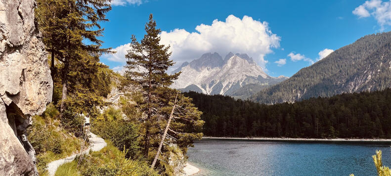 Surrounding Landscape